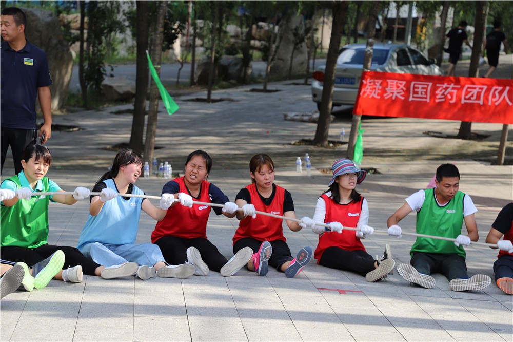[延慶新華保險培訓(xùn)中心]-場地拓展一日團(tuán)建