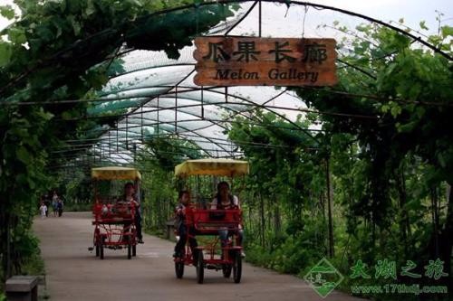 [蘇州太湖綠光農(nóng)場拓展基地]+ 致青春無悔！一日拓展活動