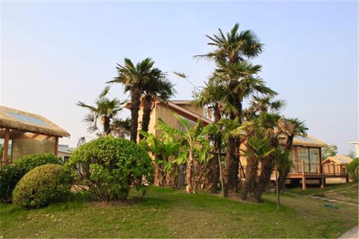 [上海長興島漁灣老碼頭]+輕松愉悅一日旅游團(tuán)建活動(dòng)